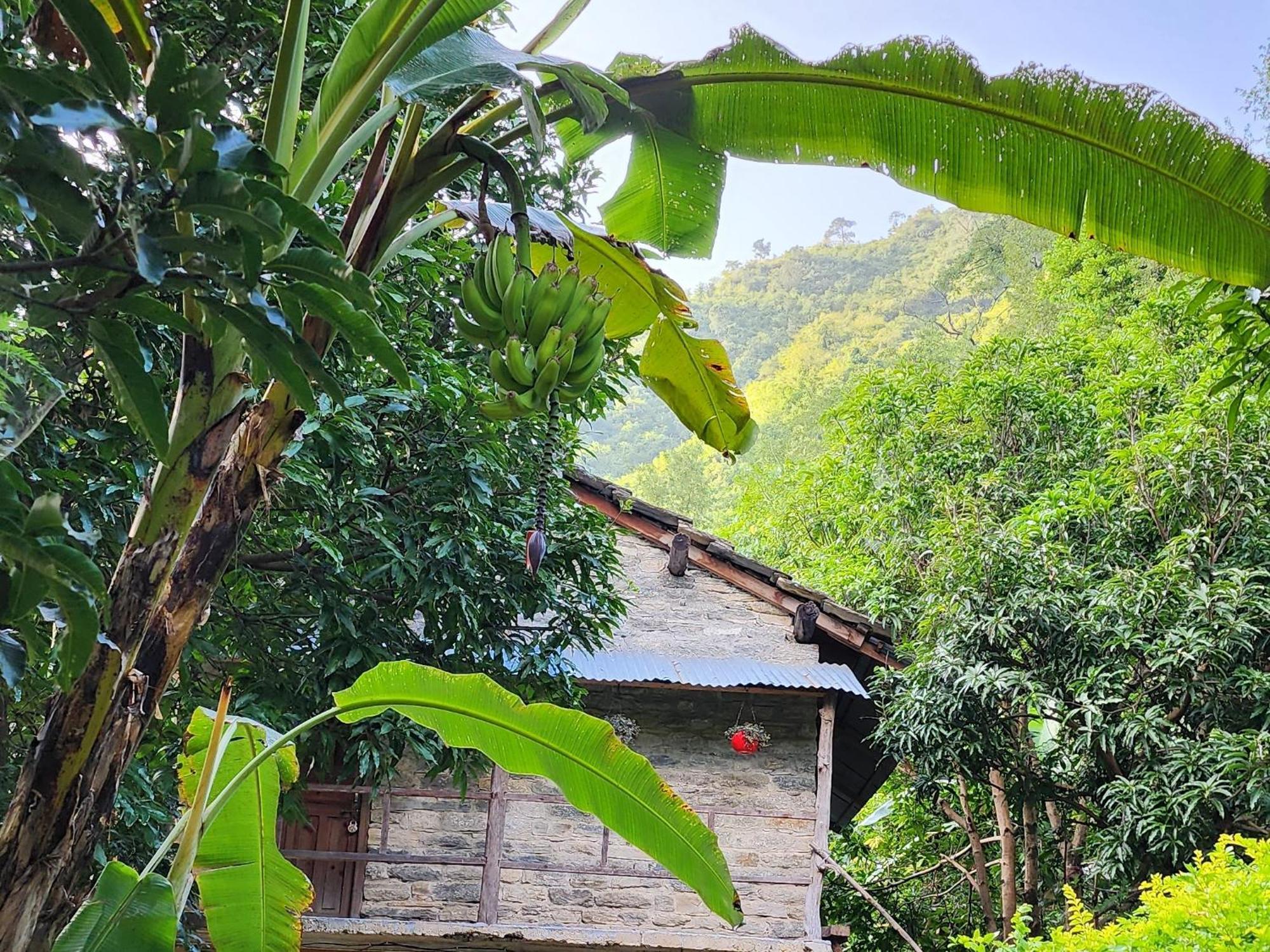 Hobo Huts By The Riverside Panuanaula ภายนอก รูปภาพ
